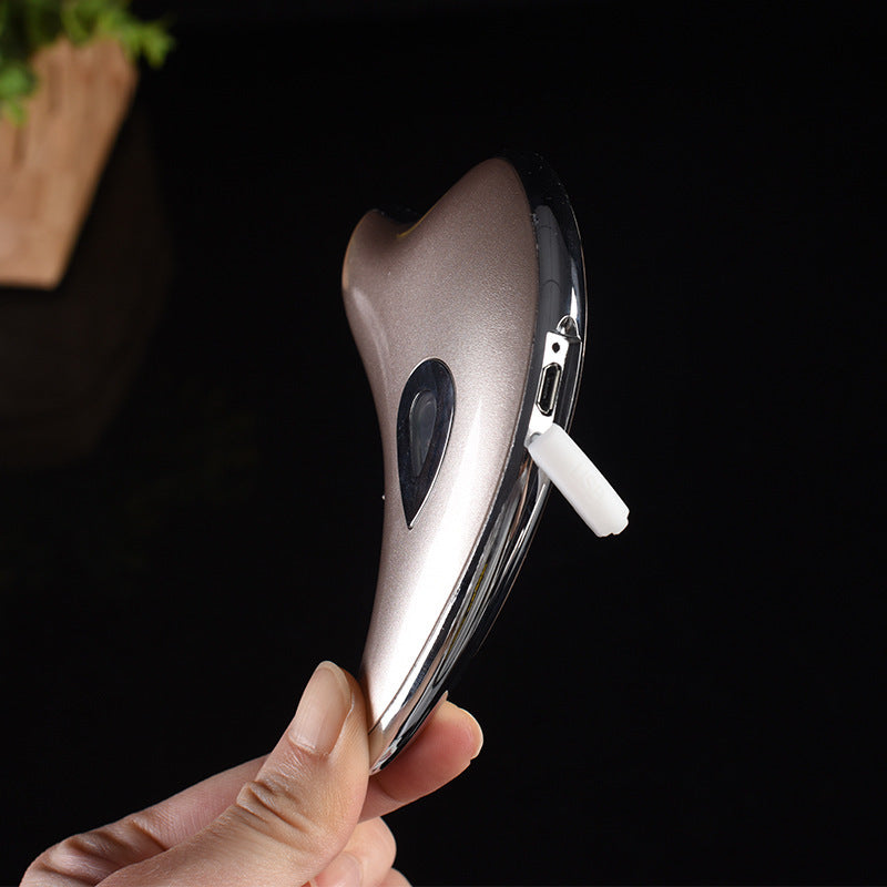 Little Dolphin Micro-current Beauty Instrument, Gua Sha Heating Ultrasonic