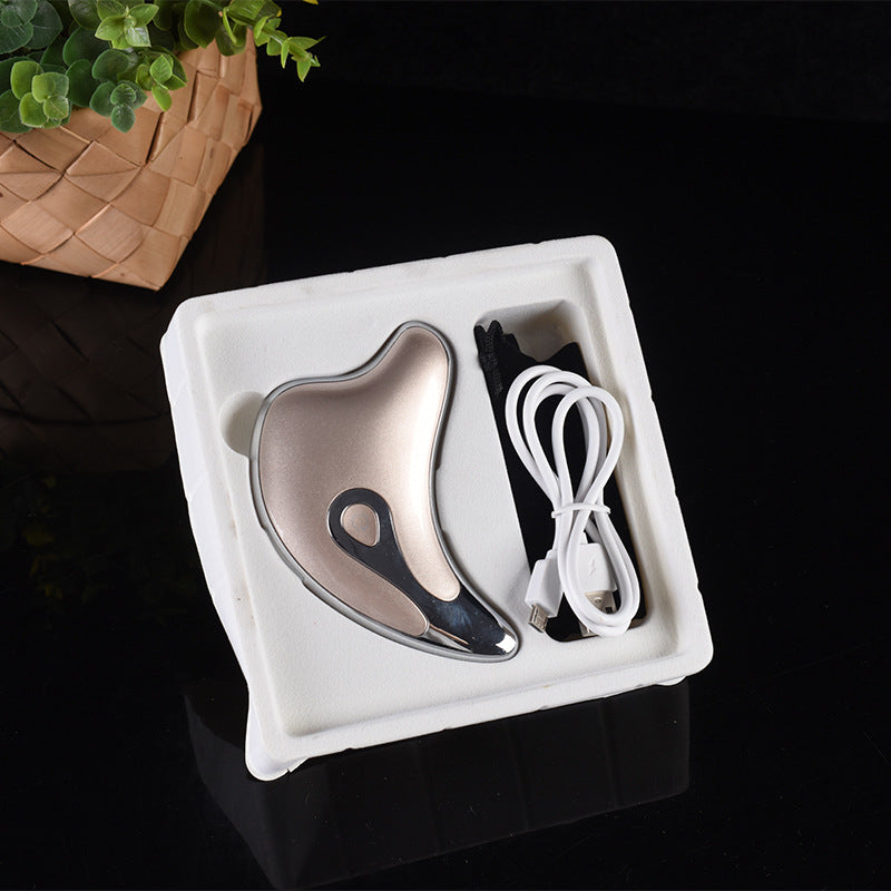 Little Dolphin Micro-current Beauty Instrument, Gua Sha Heating Ultrasonic