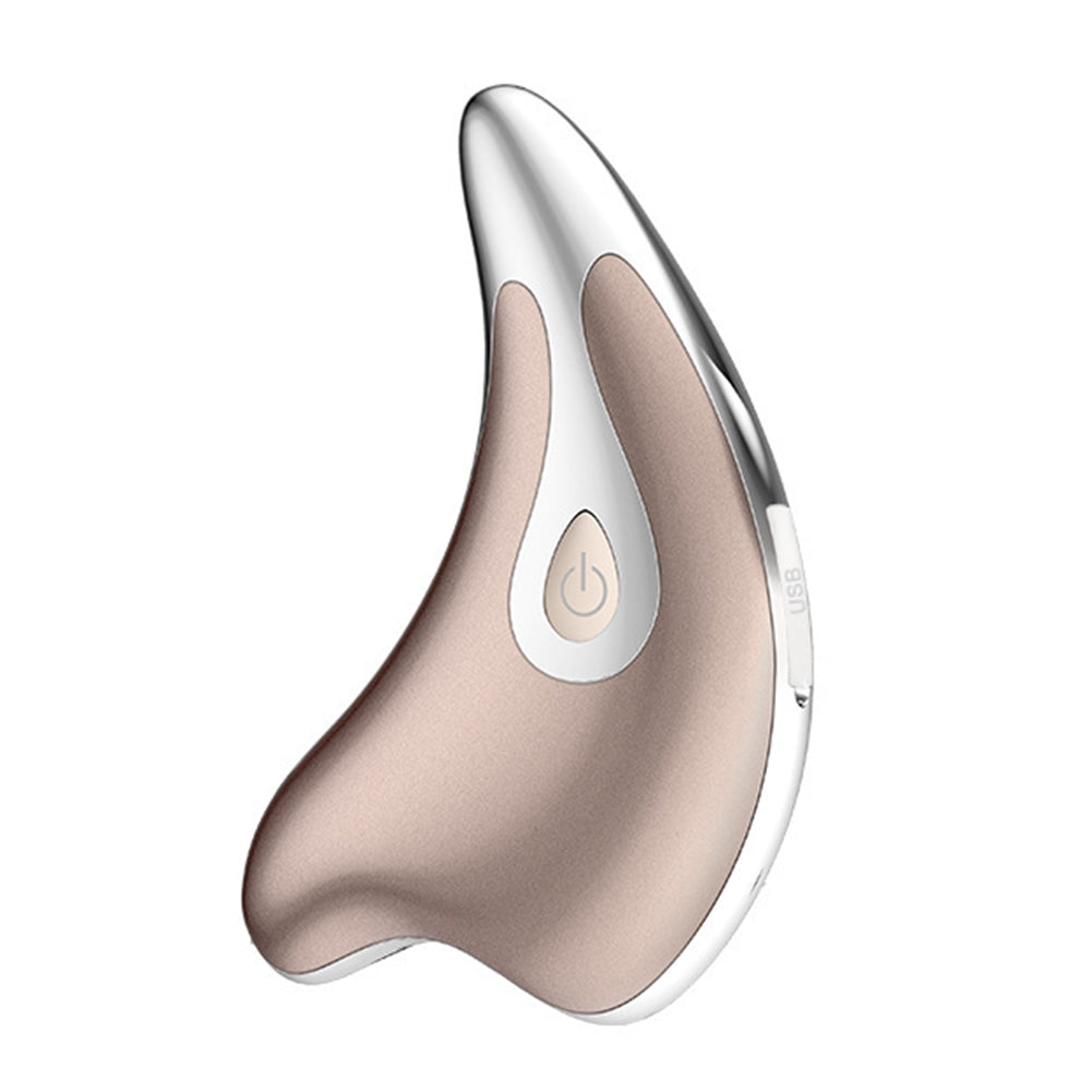 Little Dolphin Micro-current Beauty Instrument, Gua Sha Heating Ultrasonic