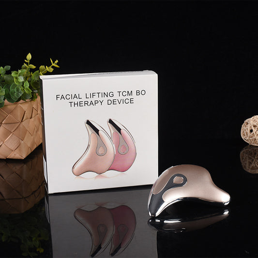 Little Dolphin Micro-current Beauty Instrument, Gua Sha Heating Ultrasonic